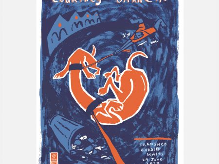 Courtney Barnett Cardiff 2022 Screenprinted Poster Online now