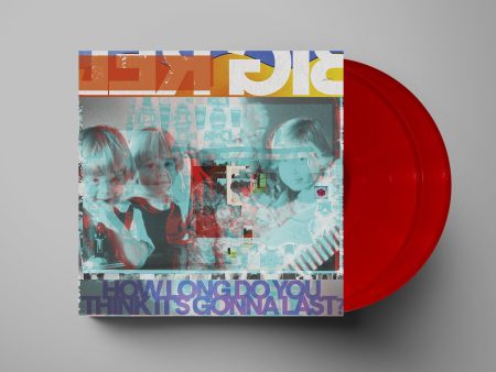 How Long Do You Think It’s Gonna Last? (Red) -  LP on Sale