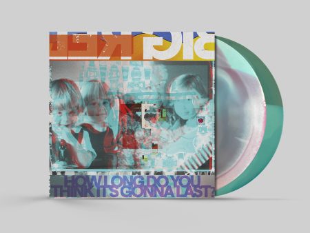 How Long Do You Think It’s Gonna Last? (Colour in Colour) -  LP Sale