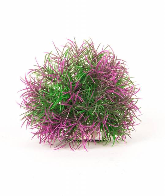 Aquatop Big Purple and Green Ball with Weighted Base Online now