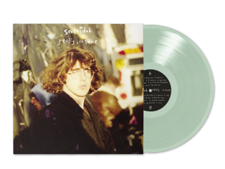 Sentridoh - Really Insane: A Lou Barlow Compendium Vinyl LP Online now