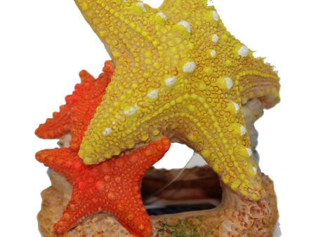 EXOTIC ENVIRONMENTS SEA STAR DUO Cheap